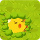 HIDE N’ SEEK